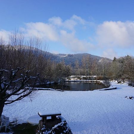La Maison Et L'Etang - Grand Terrain Prive Vagney Buitenkant foto