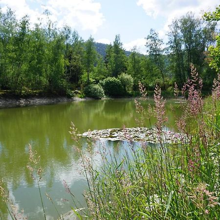 La Maison Et L'Etang - Grand Terrain Prive Vagney Buitenkant foto