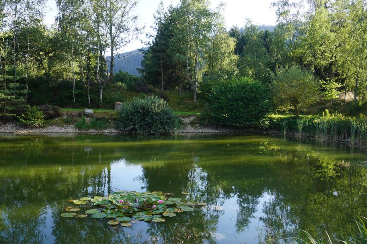 La Maison Et L'Etang - Grand Terrain Prive Vagney Buitenkant foto
