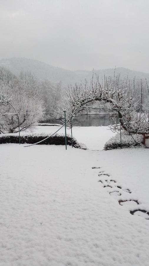 La Maison Et L'Etang - Grand Terrain Prive Vagney Buitenkant foto