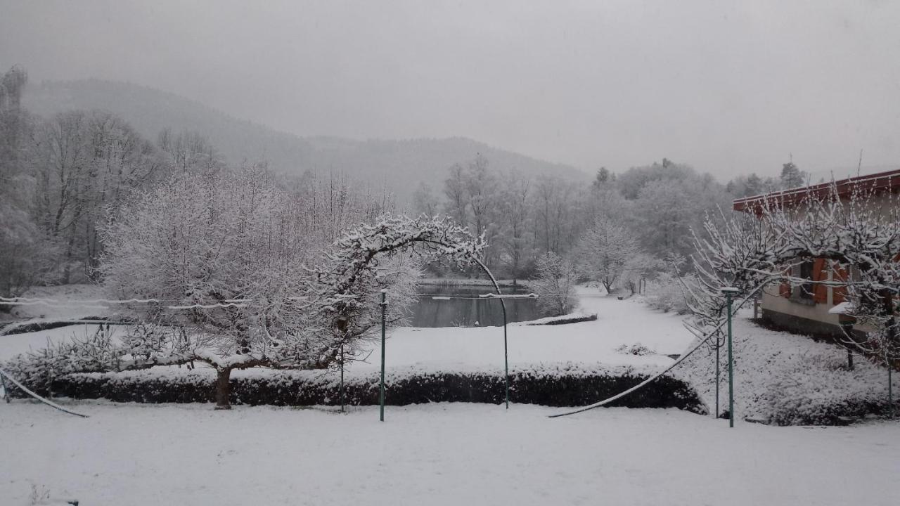 La Maison Et L'Etang - Grand Terrain Prive Vagney Buitenkant foto