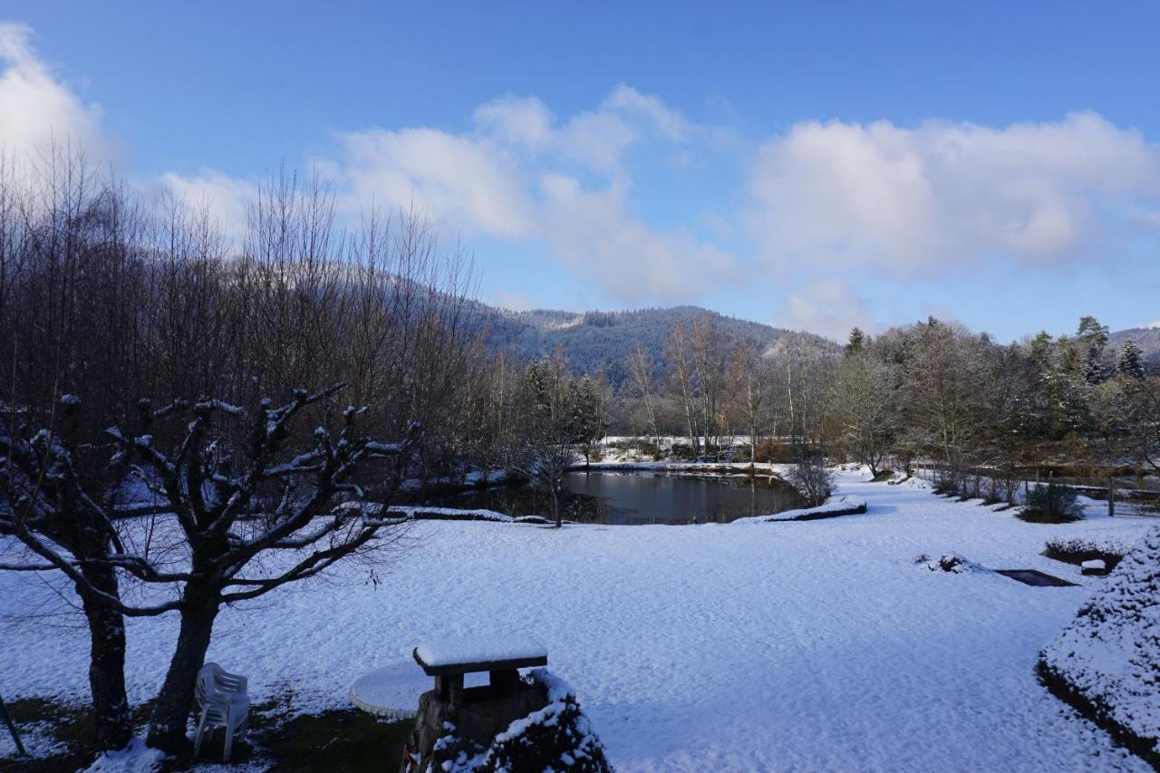 La Maison Et L'Etang - Grand Terrain Prive Vagney Buitenkant foto