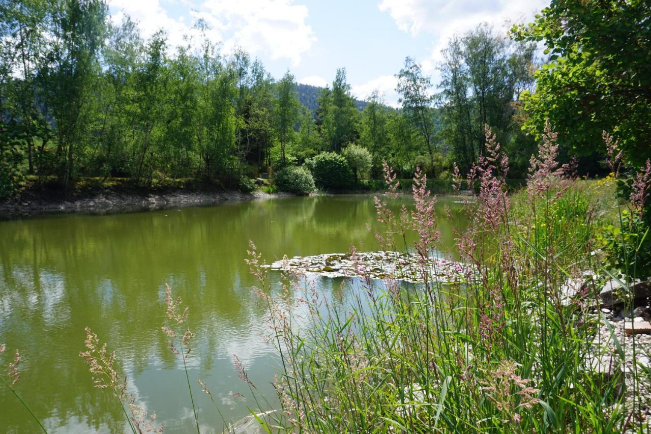 La Maison Et L'Etang - Grand Terrain Prive Vagney Buitenkant foto